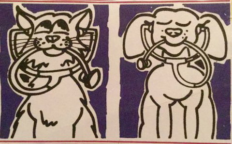 Veterinary Clinic Noosa Heads Pty Ltd - Vet Canberra 1