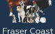 Walker Street Veterinary Surgery - thumb 5