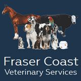 Walker Street Veterinary Surgery - Vet Canberra 5