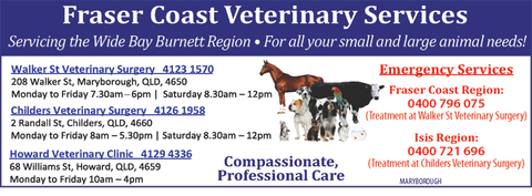 Walker Street Veterinary Surgery - Vet Canberra 6