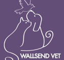 Wallsend Vet Newcastle - Vet Canberra