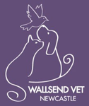 Wallsend Vet Newcastle - Vet Canberra 0