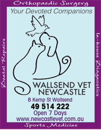 Wallsend Vet Newcastle - Vet Canberra 1