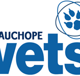 Wauchope Vets - Vet Canberra