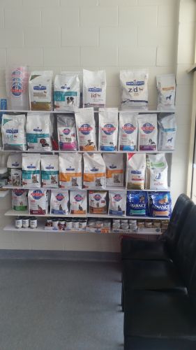Wide Bay Vet Surgery - Vet Canberra 1