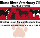 Williams River Veterinary Clinic - Vet Canberra