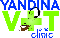 Yandina QLD Vet Canberra