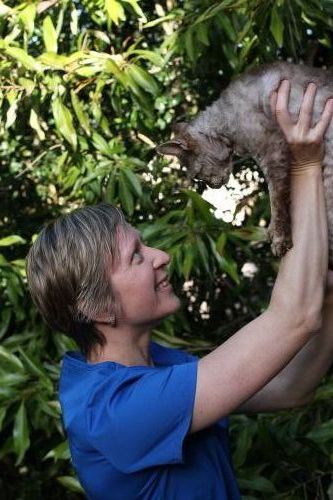 Yandina Vet Clinic - Vet Canberra 1