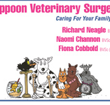 Yeppoon Veterinary Surgery - Vet Canberra