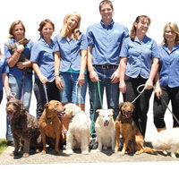 McClure Vicky Dr - Vet Canberra