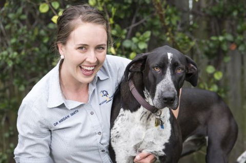 Stabler & Howlett Veterinary Surgeons–North Mackay - Vet Canberra 3
