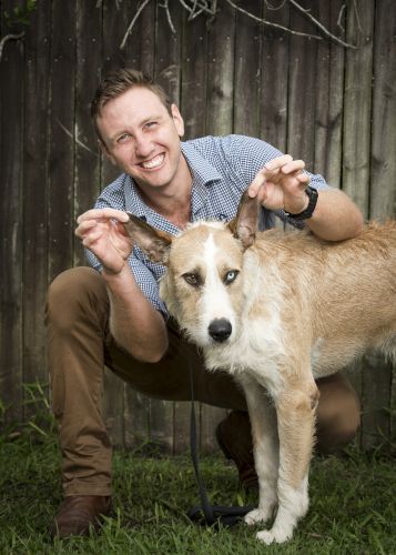 Stabler & Howlett Veterinary Surgeons–North Mackay - Vet Canberra 5
