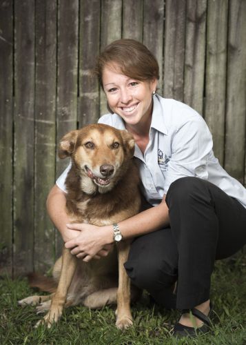 Stabler & Howlett Veterinary Surgeons–North Mackay - Vet Canberra 6