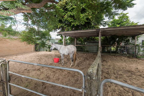 Stabler & Howlett Veterinary Surgeons–North Mackay - Vet Canberra 9