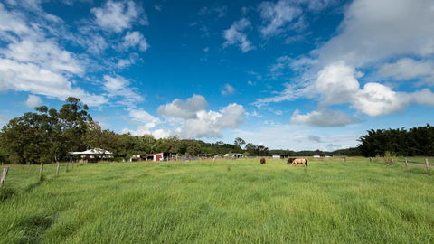 Stabler & Howlett Veterinary Surgeons–North Mackay - Vet Canberra 11