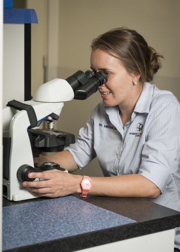 Stabler & Howlett Veterinary Surgeons–North Mackay - Vet Canberra 17