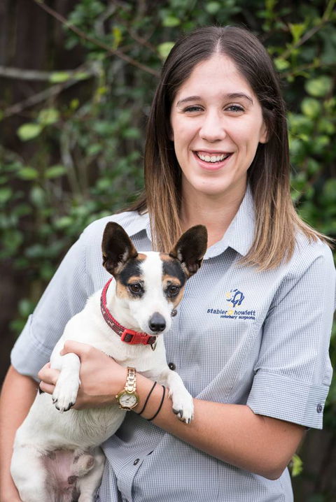 Stabler & Howlett Veterinary Surgeons–North Mackay - Vet Canberra 20