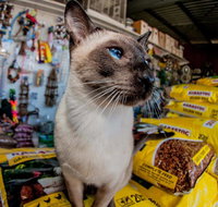 Whitsunday Better Pets - Vet Canberra