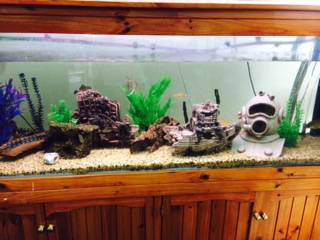 Pet Stop - Vet Canberra 1