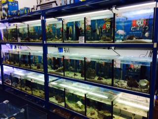 Pet Stop - Vet Canberra 3