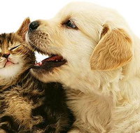 One Stop Pet Supplies - Vet Canberra